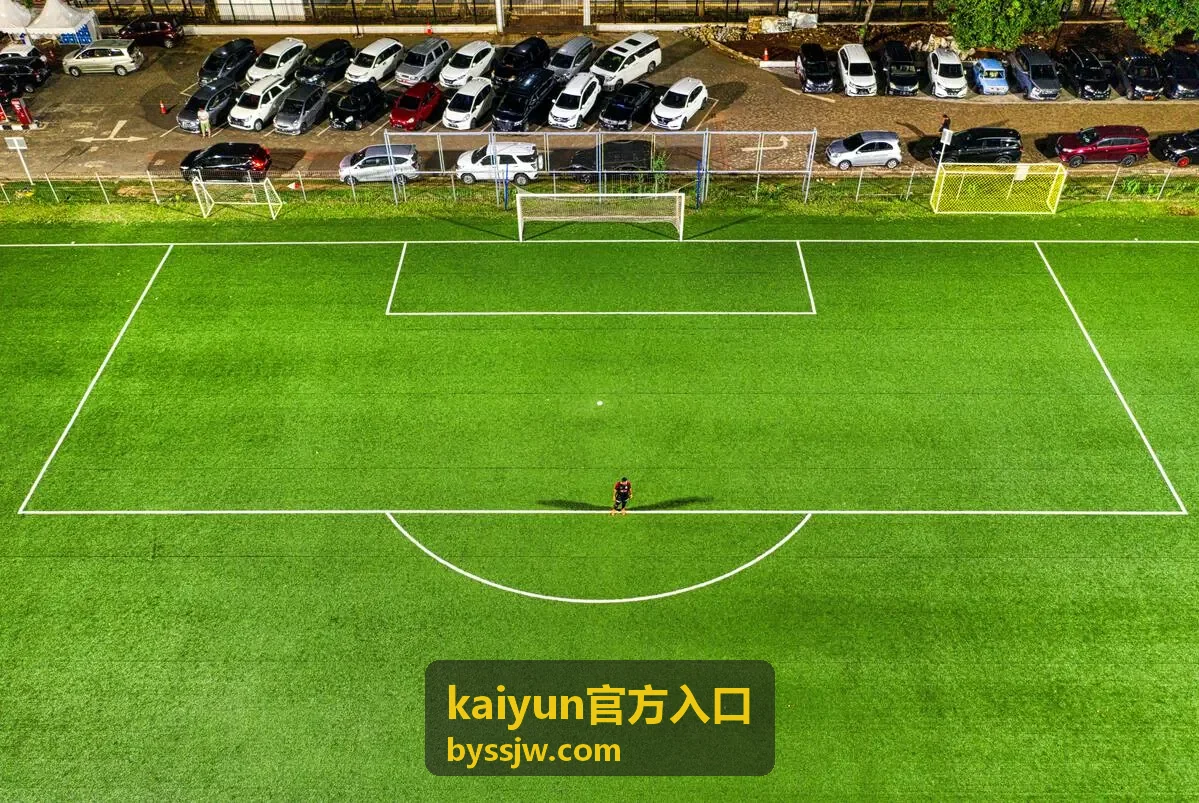 kaiyun官方入口 移动端访问方式封面图